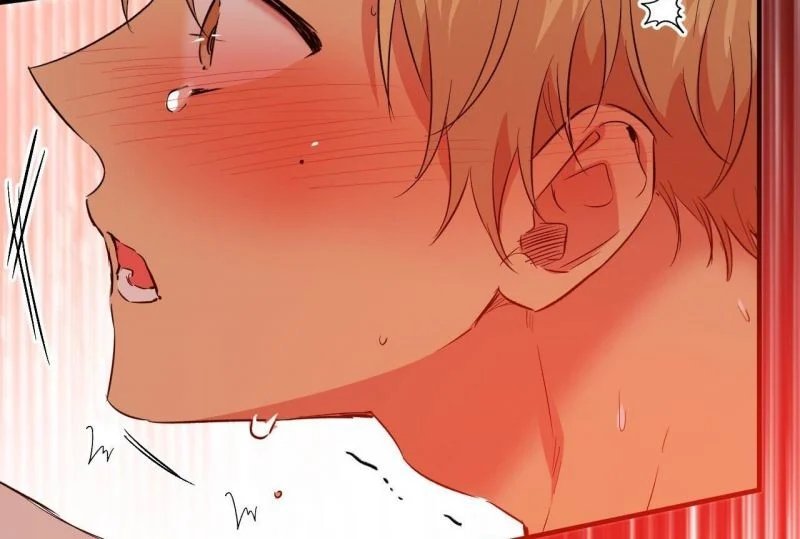 những chú thỏ của hapypy chapter 64 54