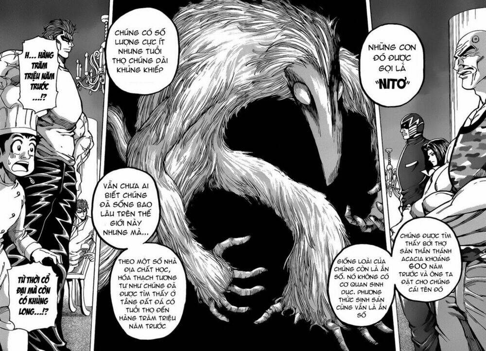 thợ săn ẩm thực chapter 143 11