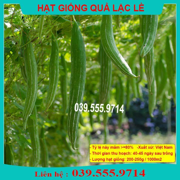 HẠT GIỐNG QUẢ LẶC LÈ GIỐNG CHUẨN, CHẤT LƯỢNG CAO