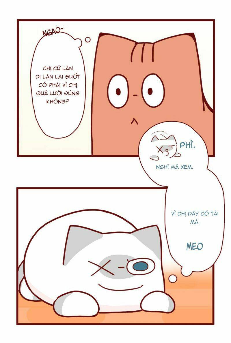 saphie: chú mèo một mắt chapter 18 4