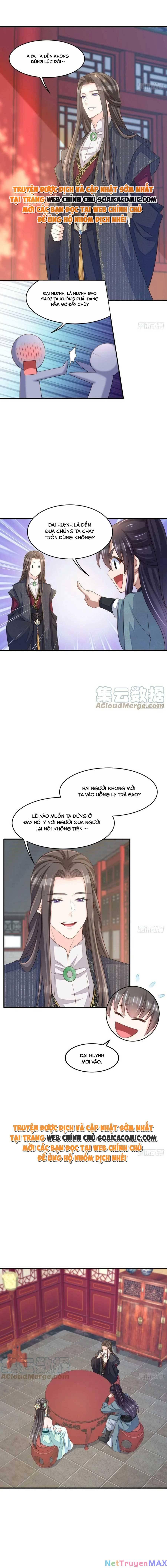 thuần hóa ba ba bạo quân chapter 65 3