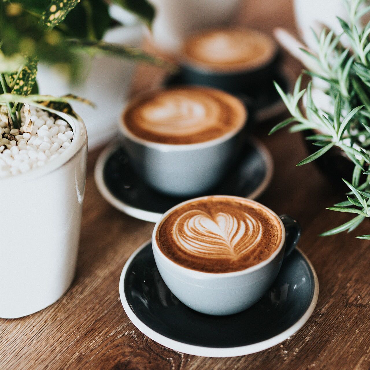 Cà phê hoà tan Mozart Kaffee - 90% Hạt Arabica + 10% Hạt Robusta - Vị thơm dịu nhẹ, đắng đậm đà - lọ 100g