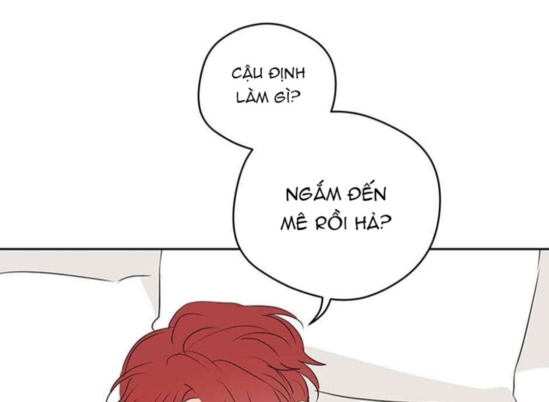 chuyện quái gì với giấc mơ đó vậy chapter 28 80