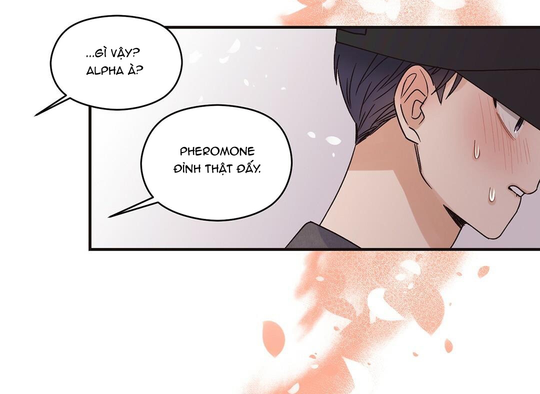 phức cảm tự ti của omega chapter 2 105