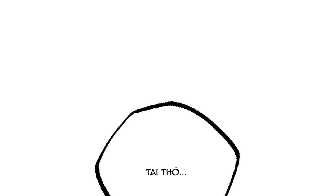 đàn thỏ của habibi chapter 34 117