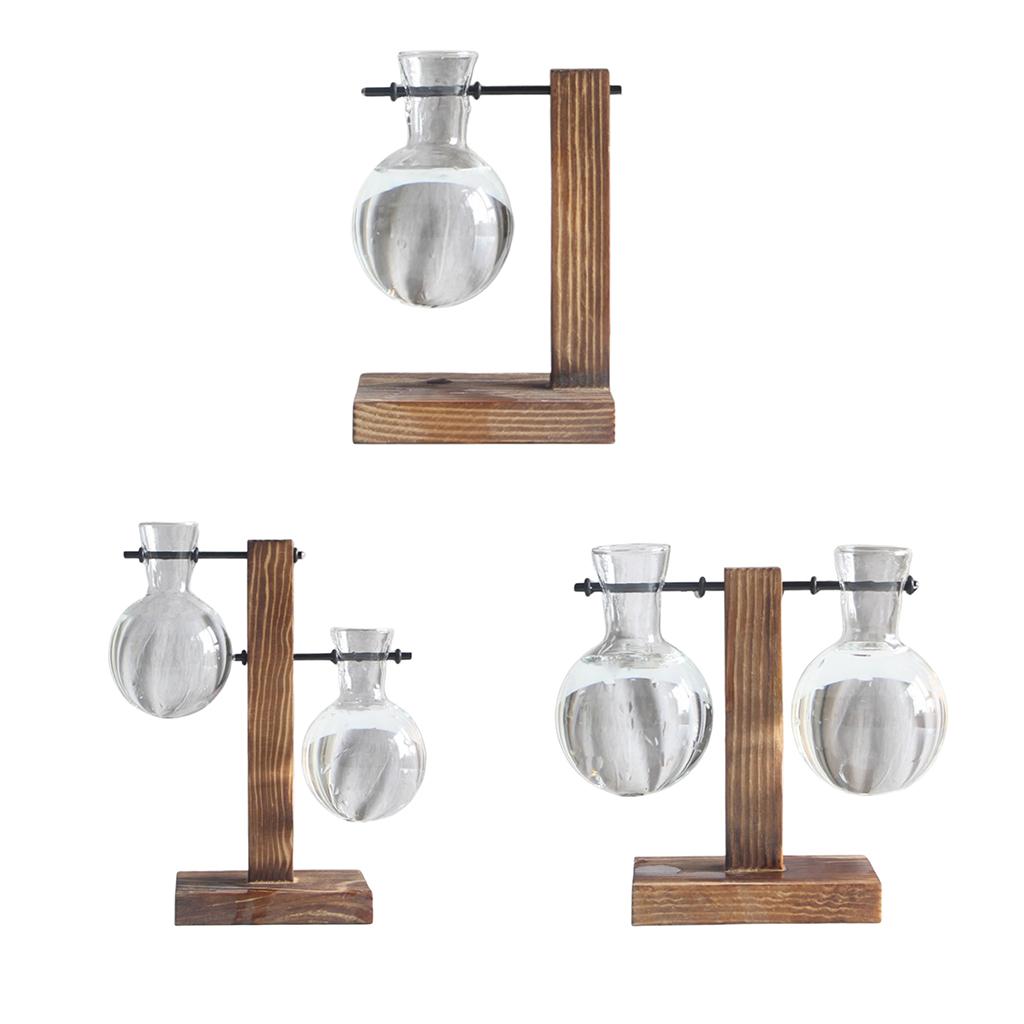 Set Ống Nghiệm Kèm Giá Đỡ Dùng Trồng Cây Thủy Canh Độc Đáo