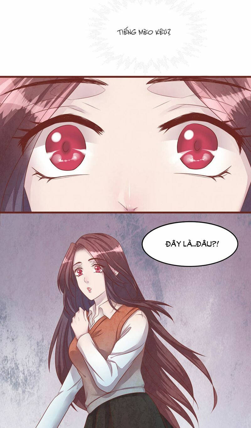 đào tạo nuôi dưỡng bạn trai mèo chapter 50 7