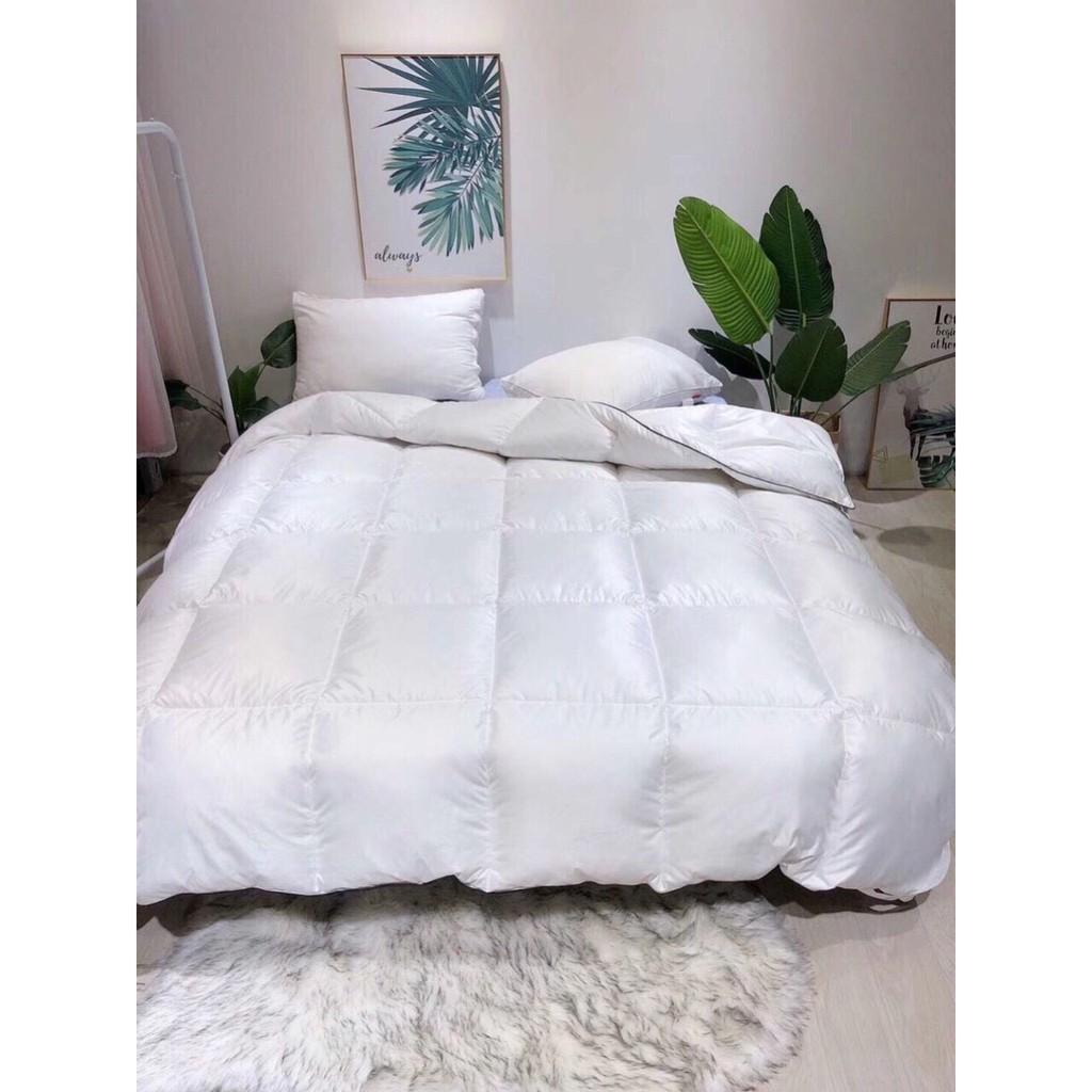 Ruột chăn lông vũ zazahome nhập khẩu Nguyên chiếc