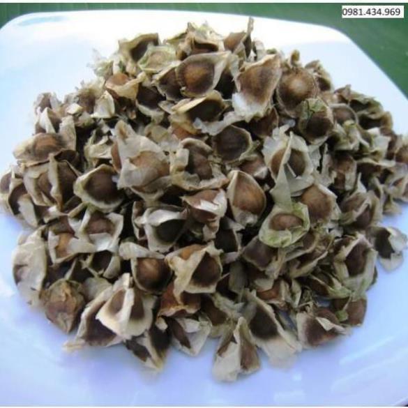 Hạt chùm ngây khô 1kg