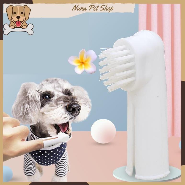 Bàn chải đánh răng cho chó mèo