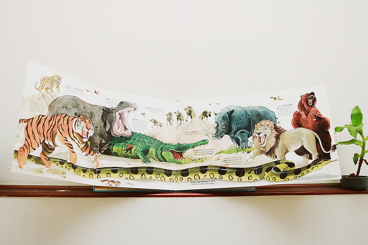 Big Book Of Big Animals – Cuốn Sách Khổng Lồ Về Các Loài Động Vật Khổng Lồ - CASA SUNSHINE