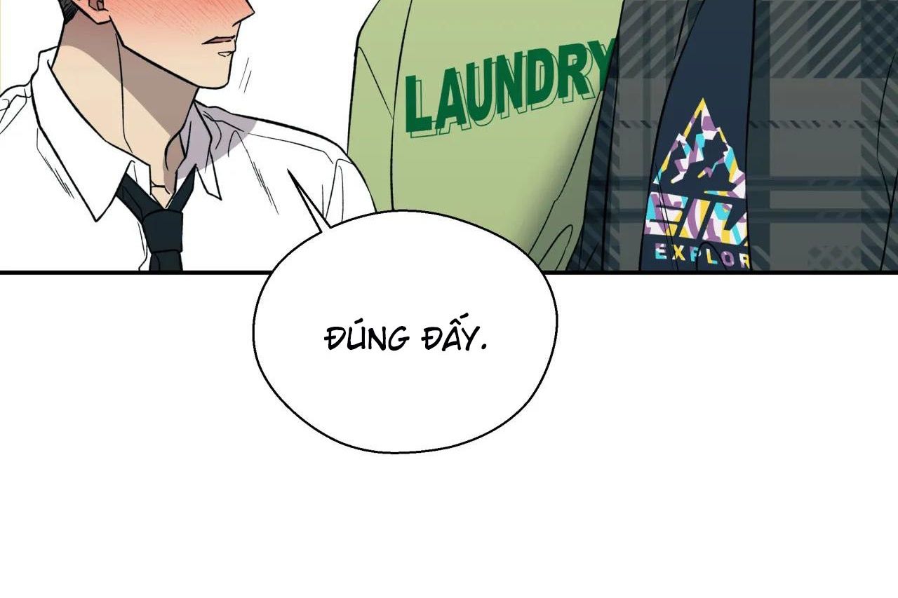 ám ảnh pheromone chapter 62 5