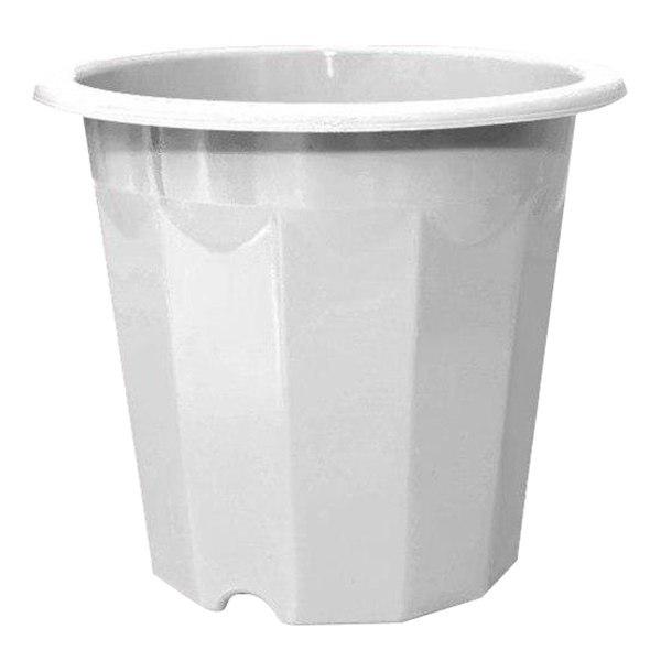 Hoa Cúc Hồng Mẫu 1