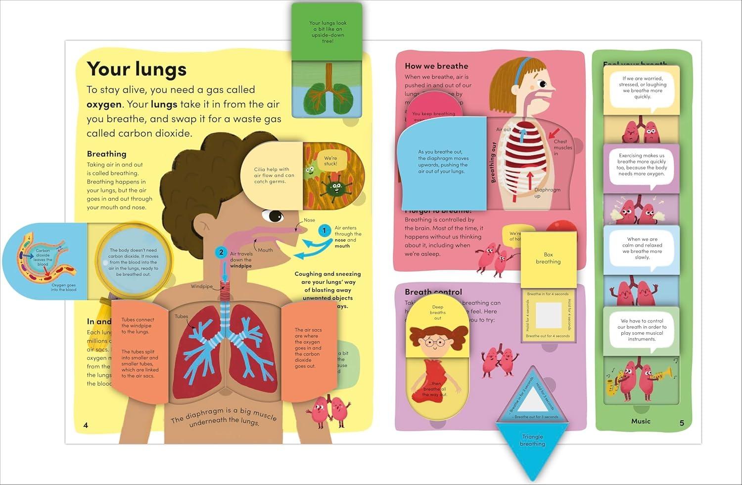 Sách ngoại văn: You And Your Body - A First Look Inside The Human Body