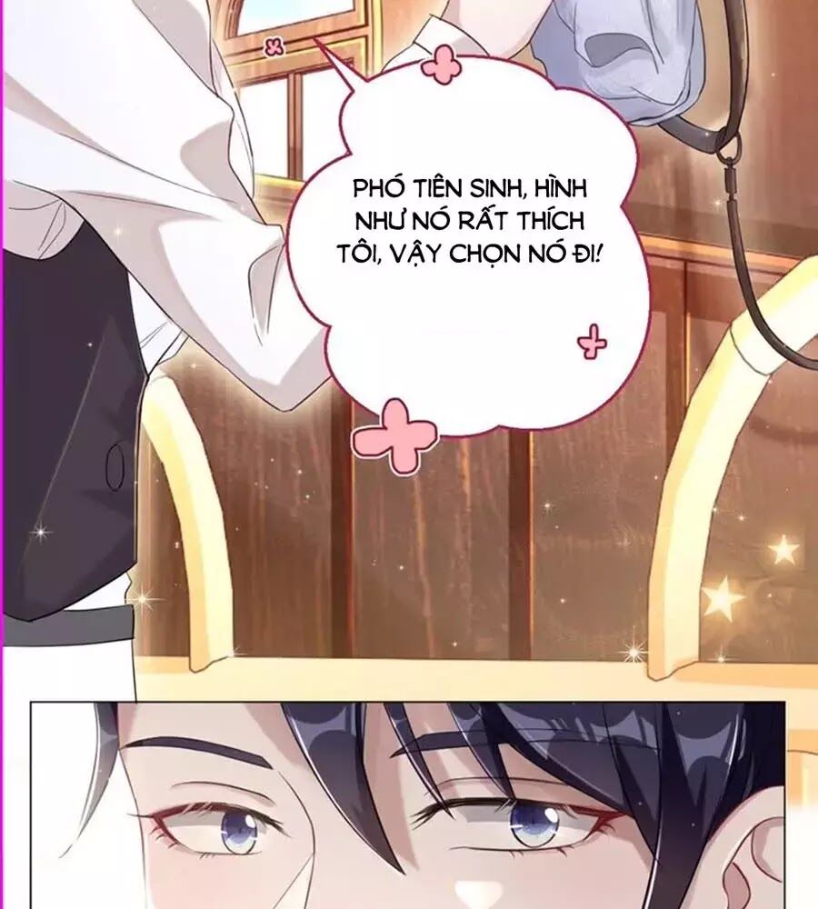 thần luân mật luyến chapter 40 24