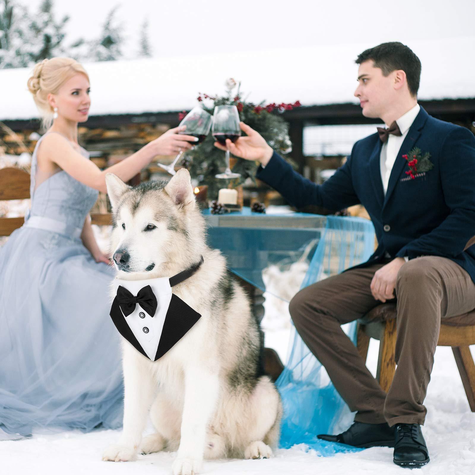 Chó chính thức hút thuốc Bandana Dog Wedding Bandana Dogs Cổ áo với thiết kế bay và cà vạt điều chỉnh cổ áo đen có thể điều chỉnh cổ áo chính thức của con chó bay.