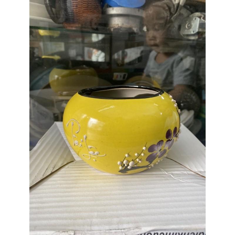 Chậu hoa mini tài Lộc ba màu
