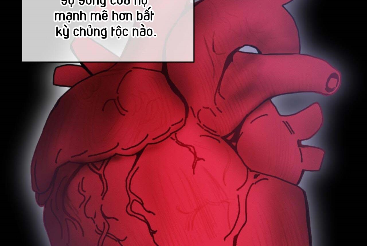 luân đôn trong màn đêm chapter 26 180