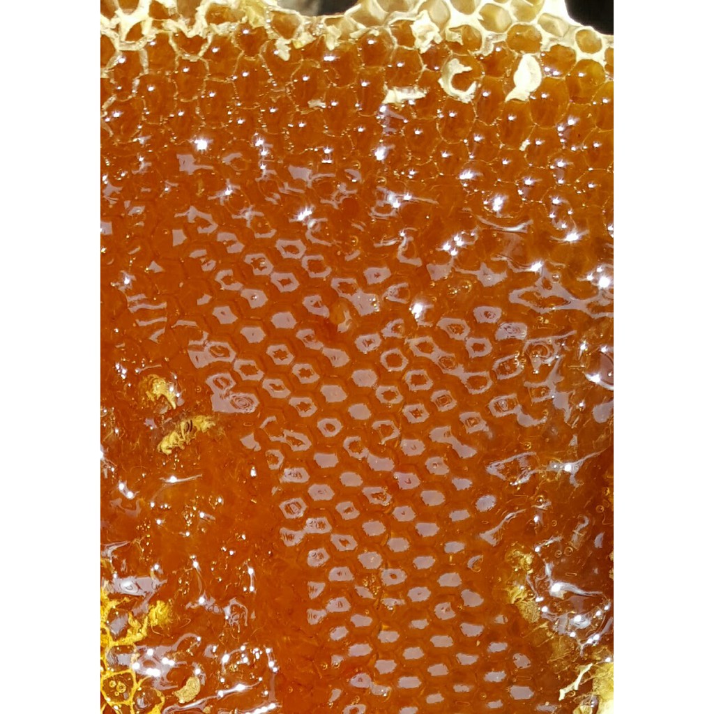 Mật ong nguyên chất thượng hạng Mẹ Tiên Honimore 500g/chai - mật ong rừng