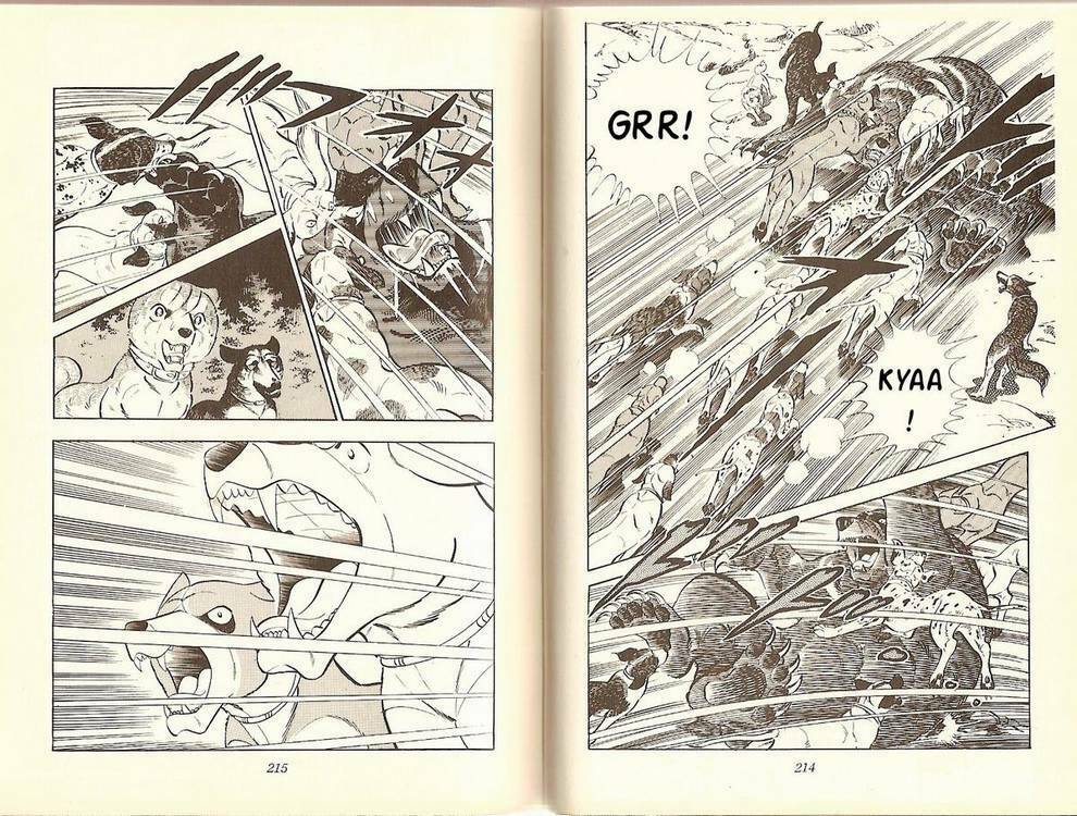 chú chó có nghĩa - ginga nagareboshi gin chapter 10 29