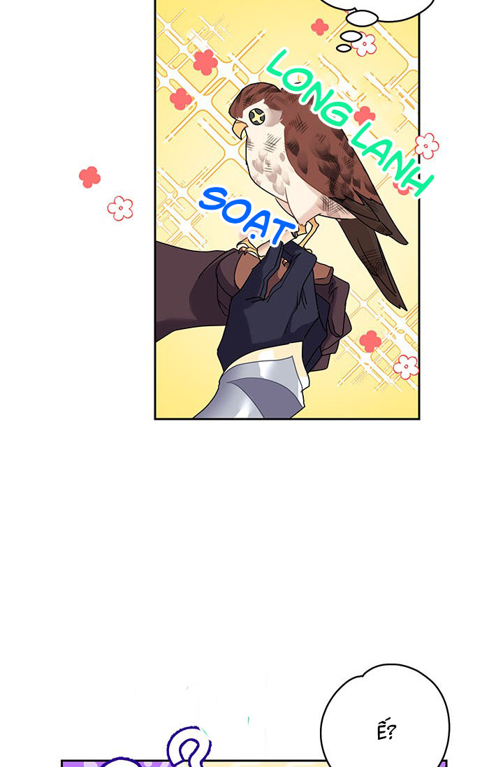 công chúa của loài chim chapter 7 66