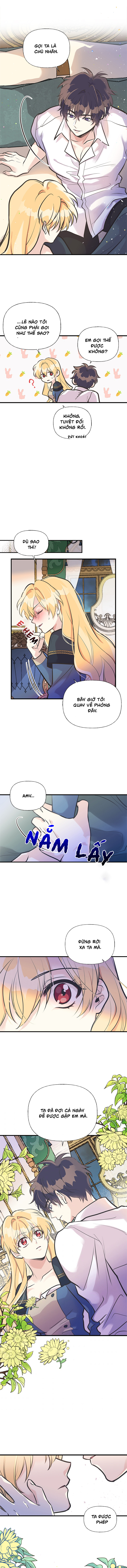 chị tôi đã nhặt về một nam chính quyến rũ chapter 46 14