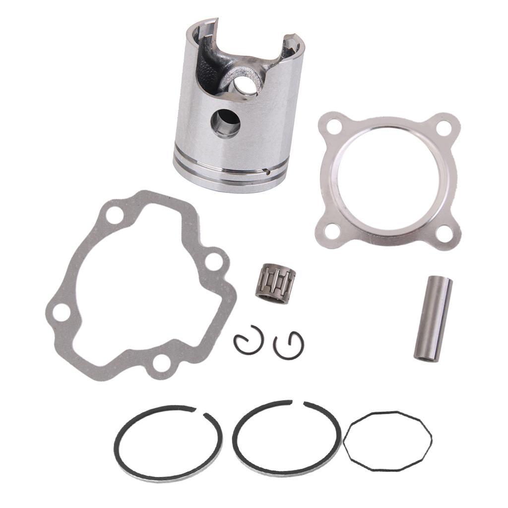 Piston Kit with Pin