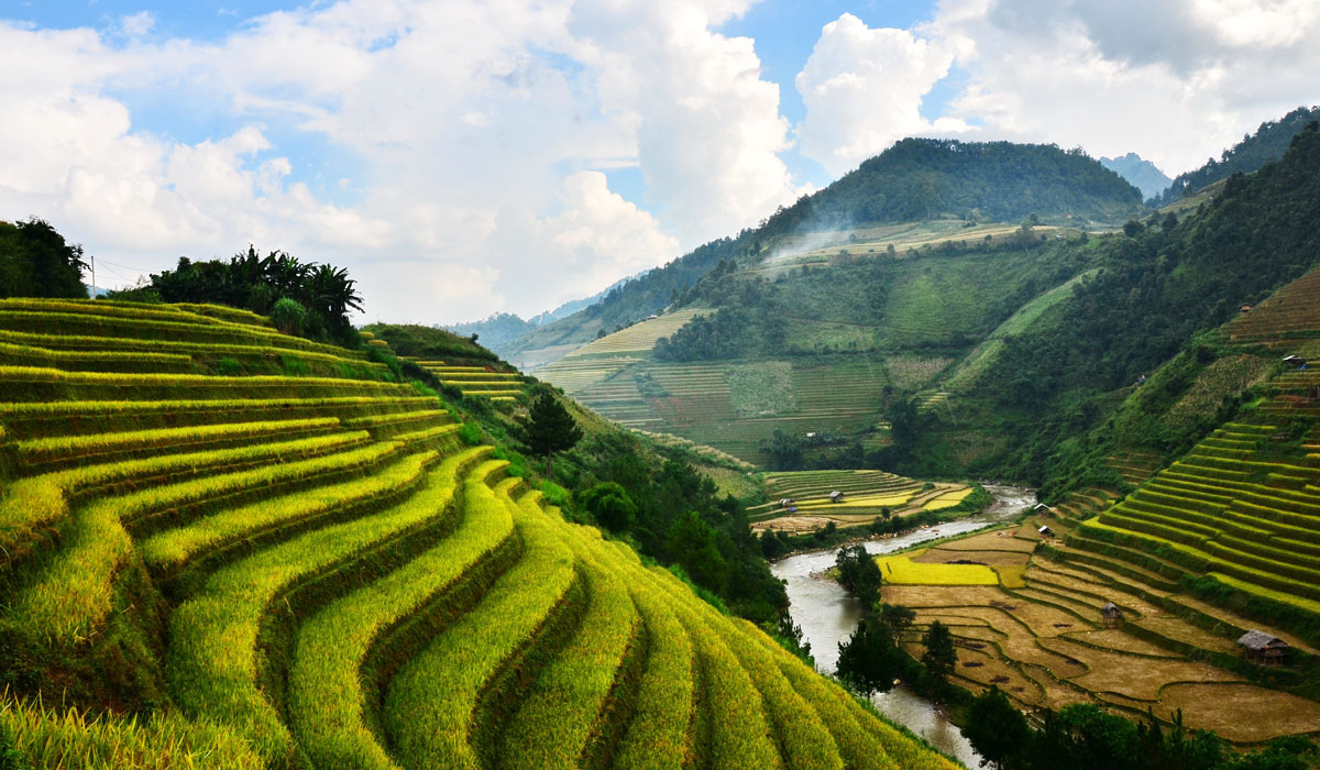 TOUR HÀ NỘI – MÙ CANG CHẢI MÙA LÚA CHÍN