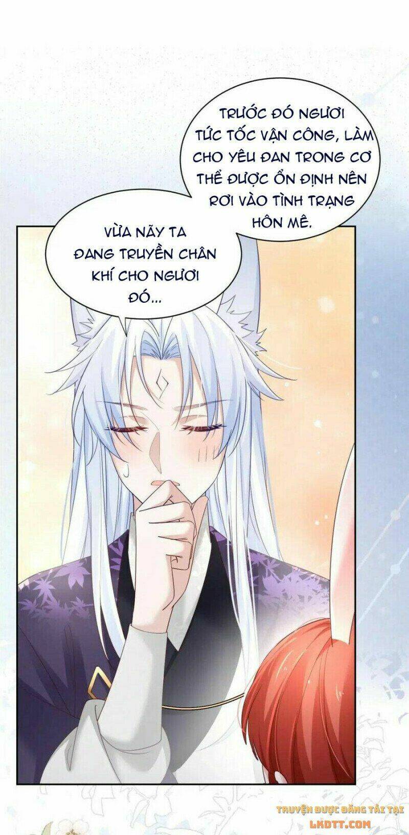 hắc hóa nam chính trực tuyến nuôi thỏ chapter 59 12