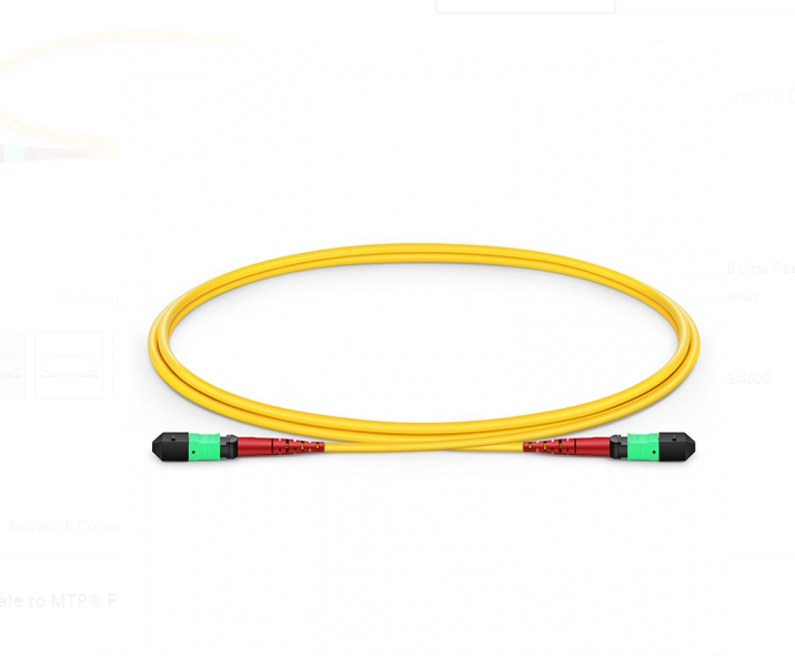 Dây nhảy quang MTP to MTP Female, OS2 Type A, 24 Fibers Elite Trunk Cable Bunch - Xmethod Network - Hàng chính hãng