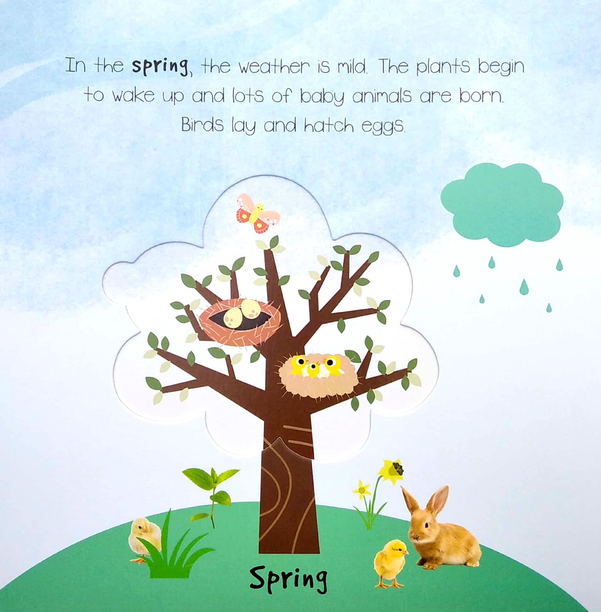 Little Wonders A Pop-out Play Book: The Seasons