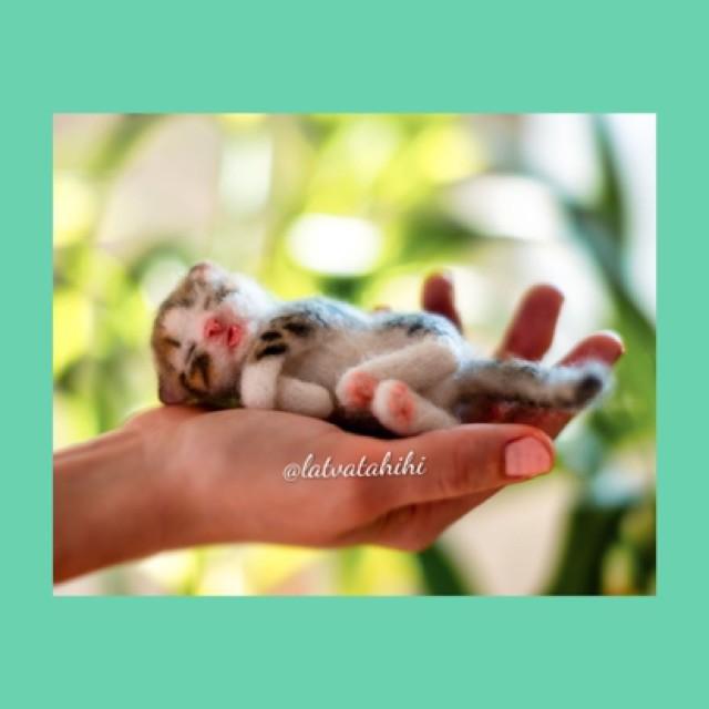 Bảng màu LEN CHỌC - LEN THÔ - Needle Felting để làm đồ thủ công 4