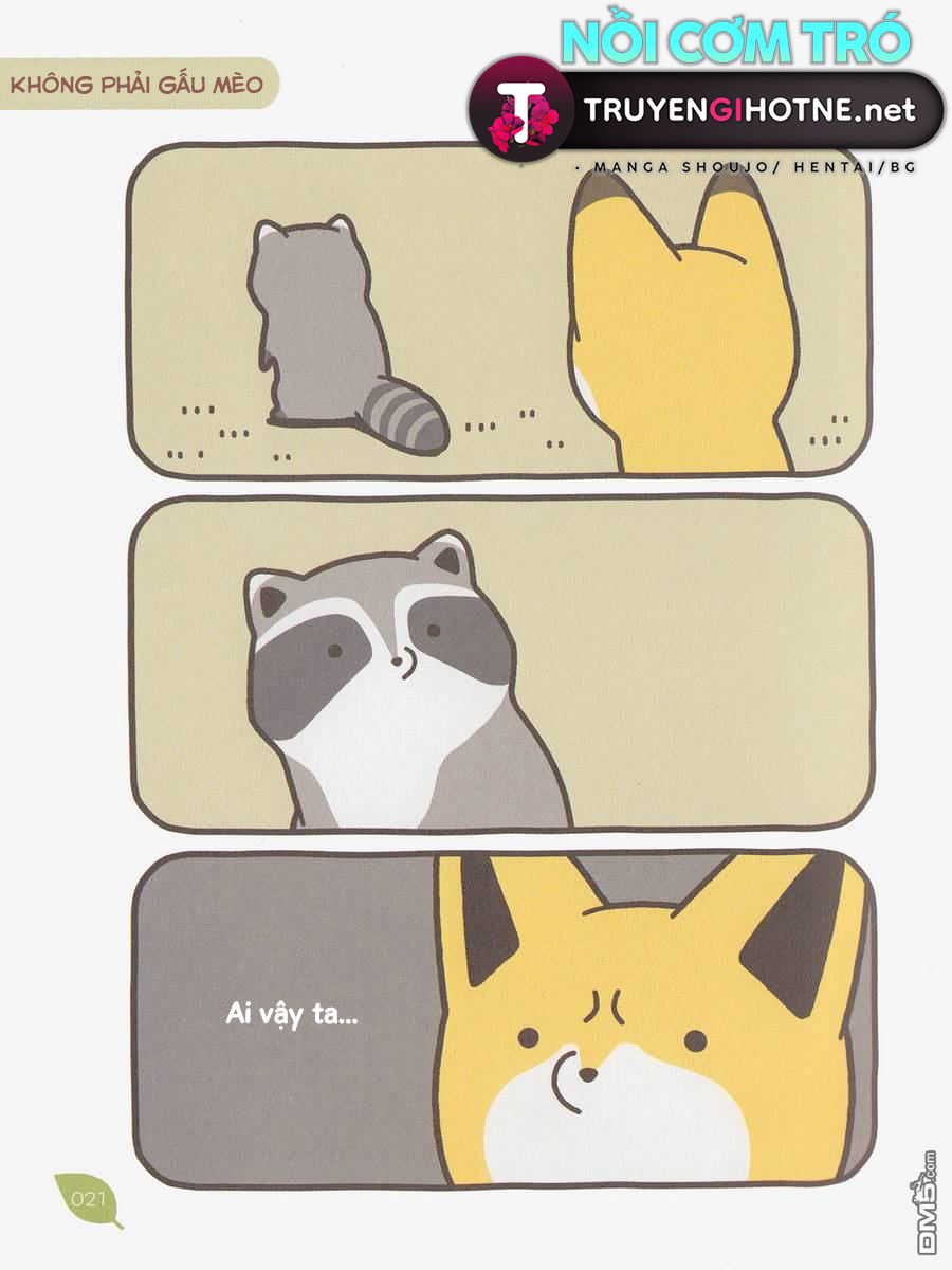 cáo và gấu mèo chapter 2 9