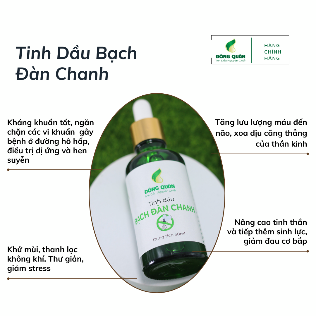 Tinh Dầu Bạch Đàn Chanh Nguyên Chất Đông Quân Có Tác Dụng Đuổi Muỗi Và Côn Trùng, Thanh Lọc Không Khí Rất Hiệu Quả 50ml/lọ