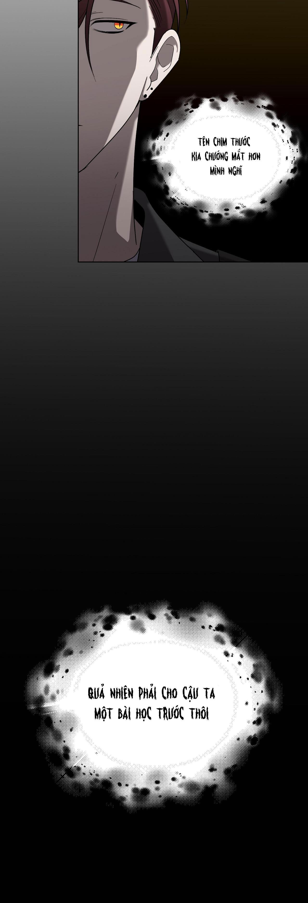 khi chim thước đến chapter 10 45