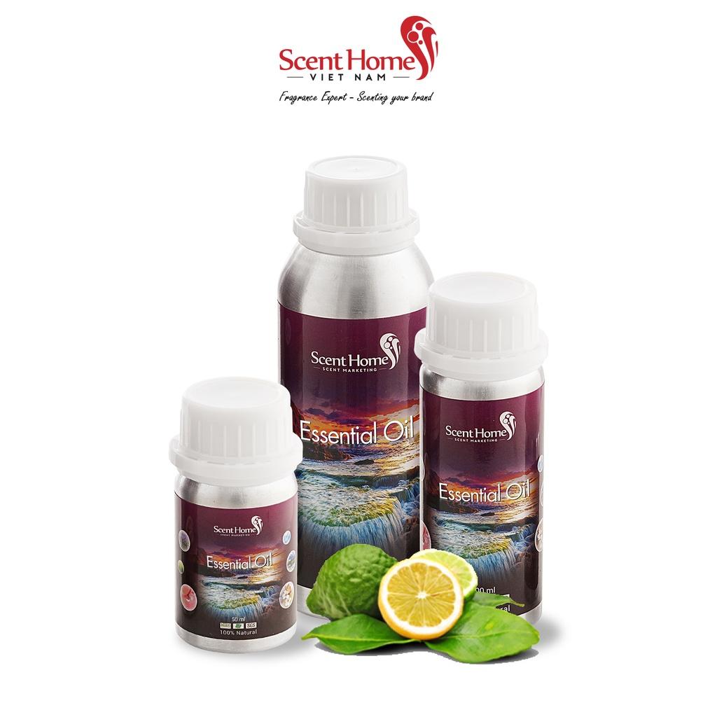 Tinh dầu Scent Homes - mùi hương