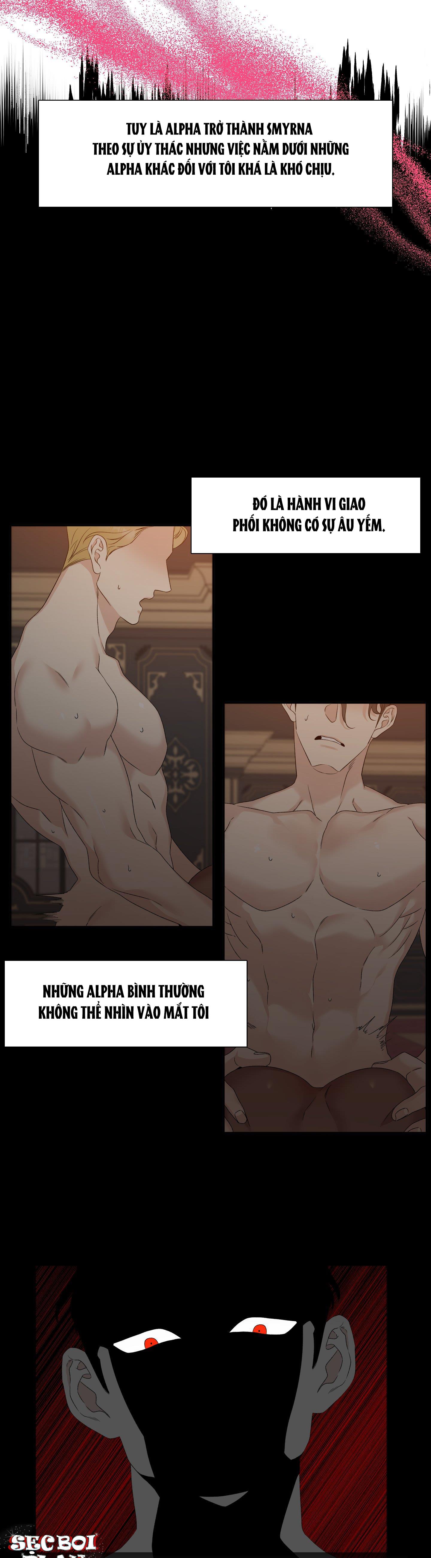 smyrna và capri chapter 15 19