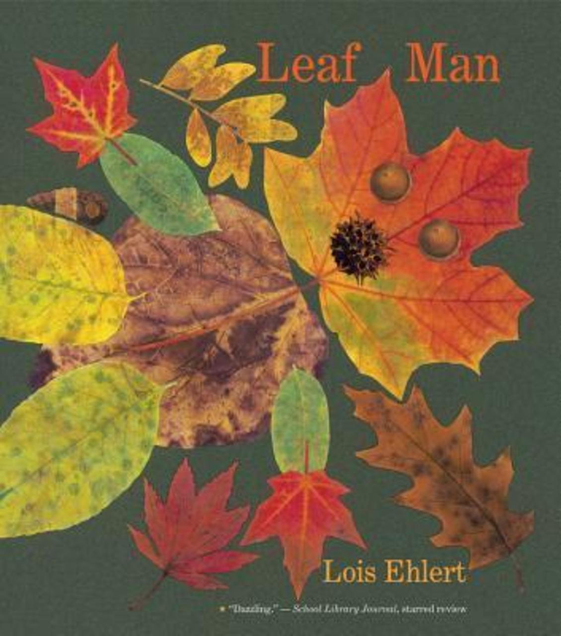 Sách - Leaf Man: Big Book by Lois Ehlert