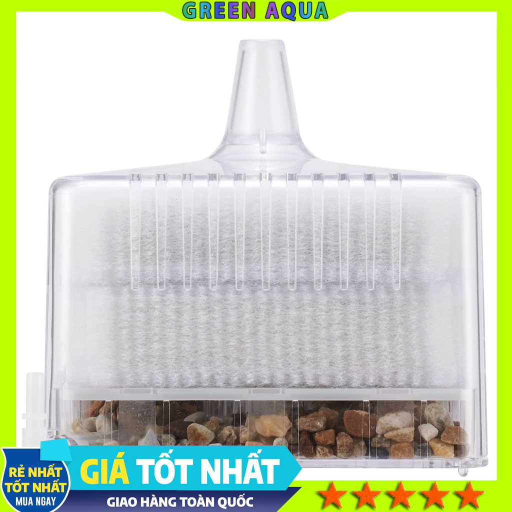 GEX - Roka Boy M | Lọc Bio mini làm sạch bụi nước và tạo vi sinh cho hồ cá cảnh thủy sinh