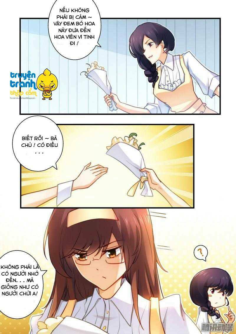 thác nhạ hào môn tổng tài chapter 22 8