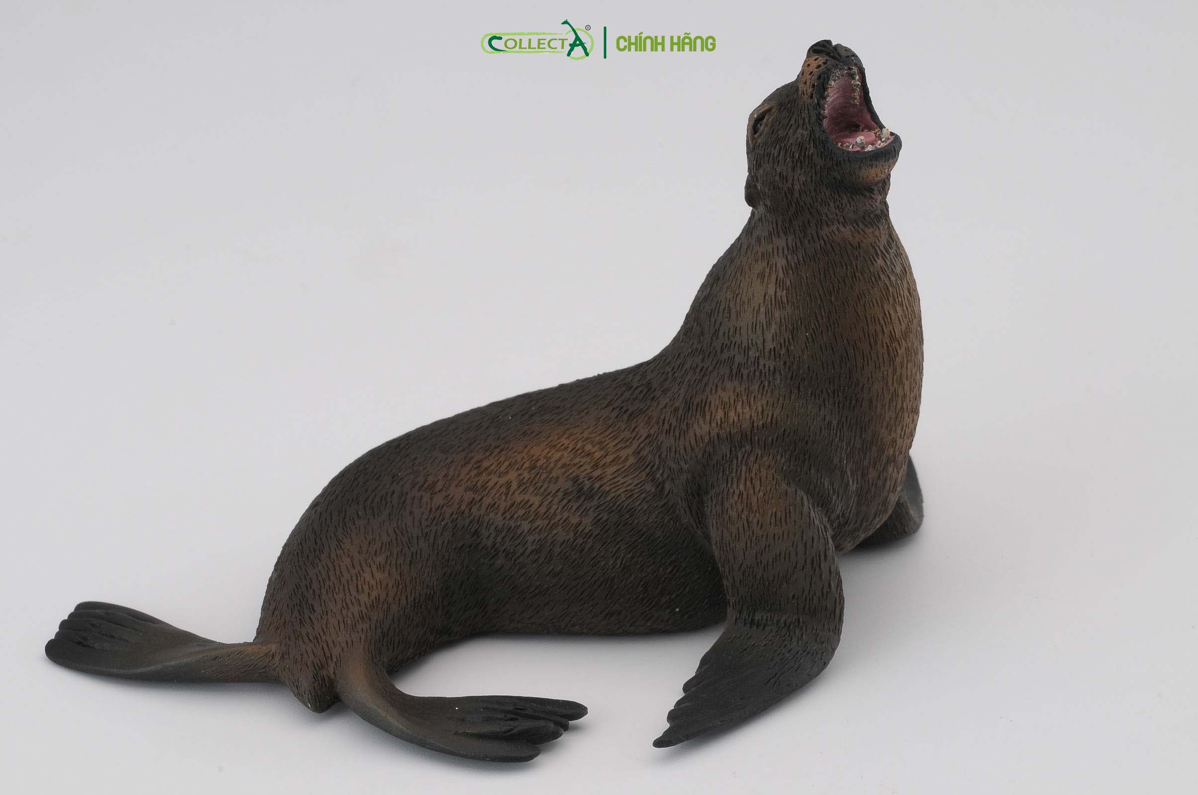 Mô hình thu nhỏ: Sư Tử Biển - Sea Lion, hiệu: CollectA, mã HS 9652070[88454] -  Chất liệu an toàn cho trẻ - Hàng chính hãng