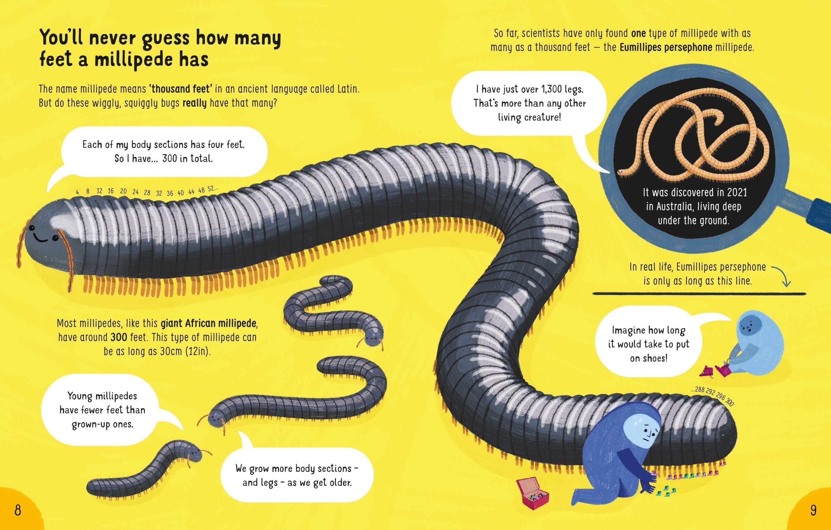 Sách ngoại văn: Lots Of Things To Know About Bugs