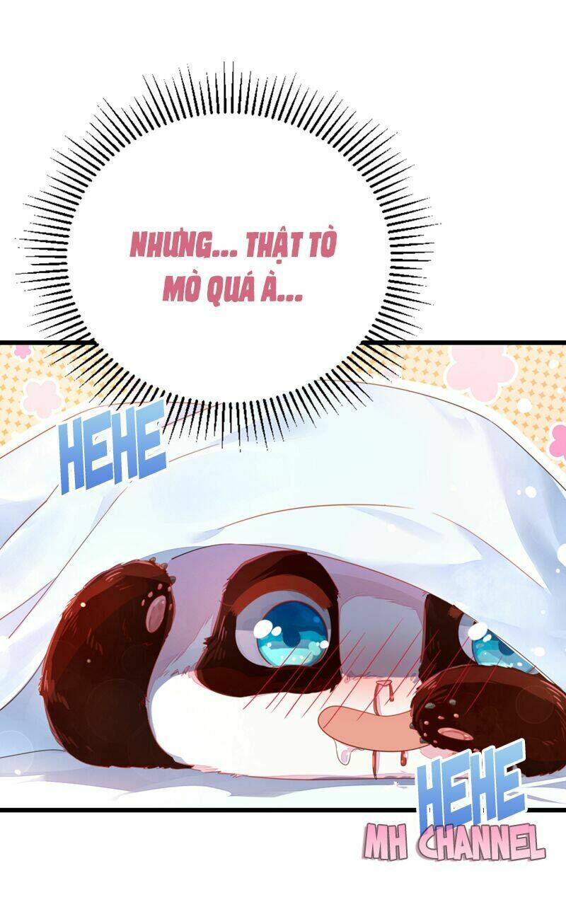 thiên thần gấu trúc muốn được ôm chapter 14 20