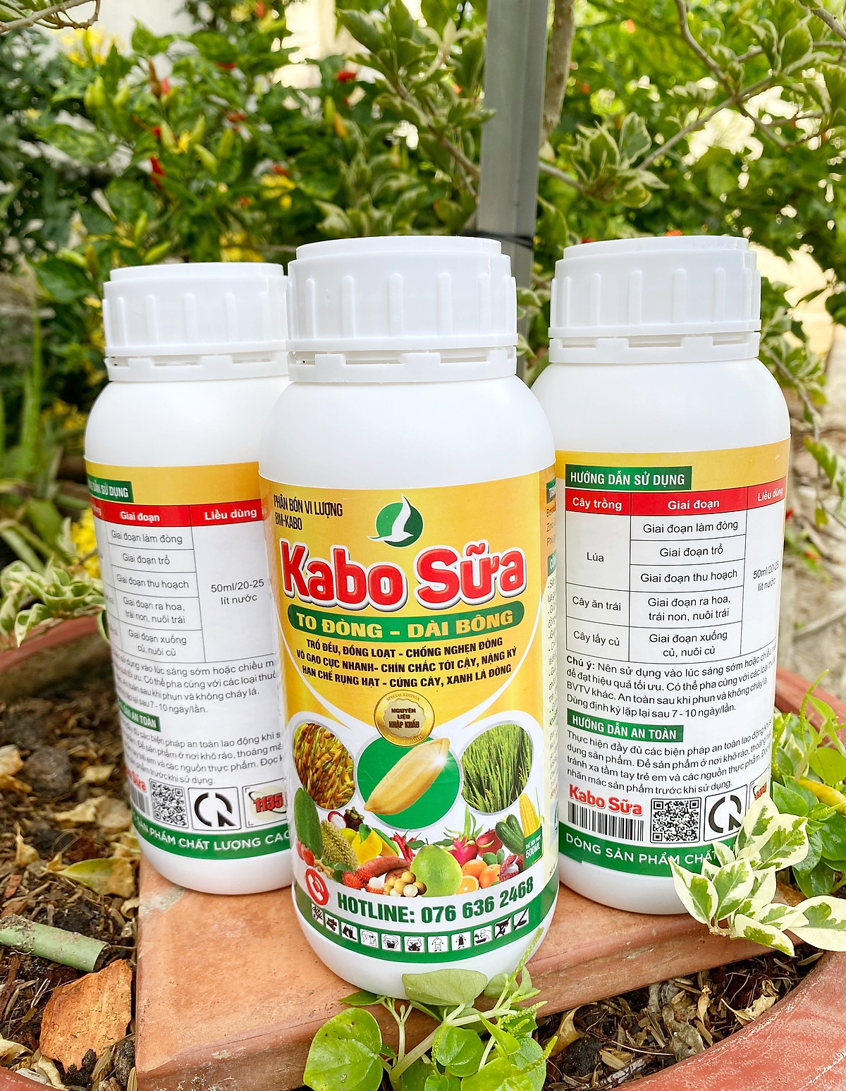 PHÂN BÓN CHUYÊN LÚA GIAI ĐOẠN TRỔ, GIÚP TRỔ THOÁT ĐỒNG LOẠT, TO ĐÒNG, DÀI BÔNG - KABO SỮA 500ML