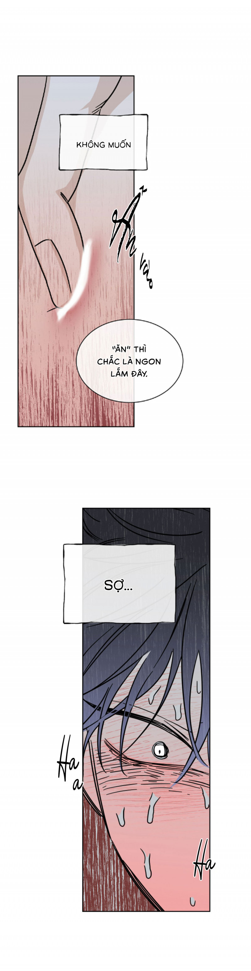 đêm bên bờ biển chapter 24.5 1