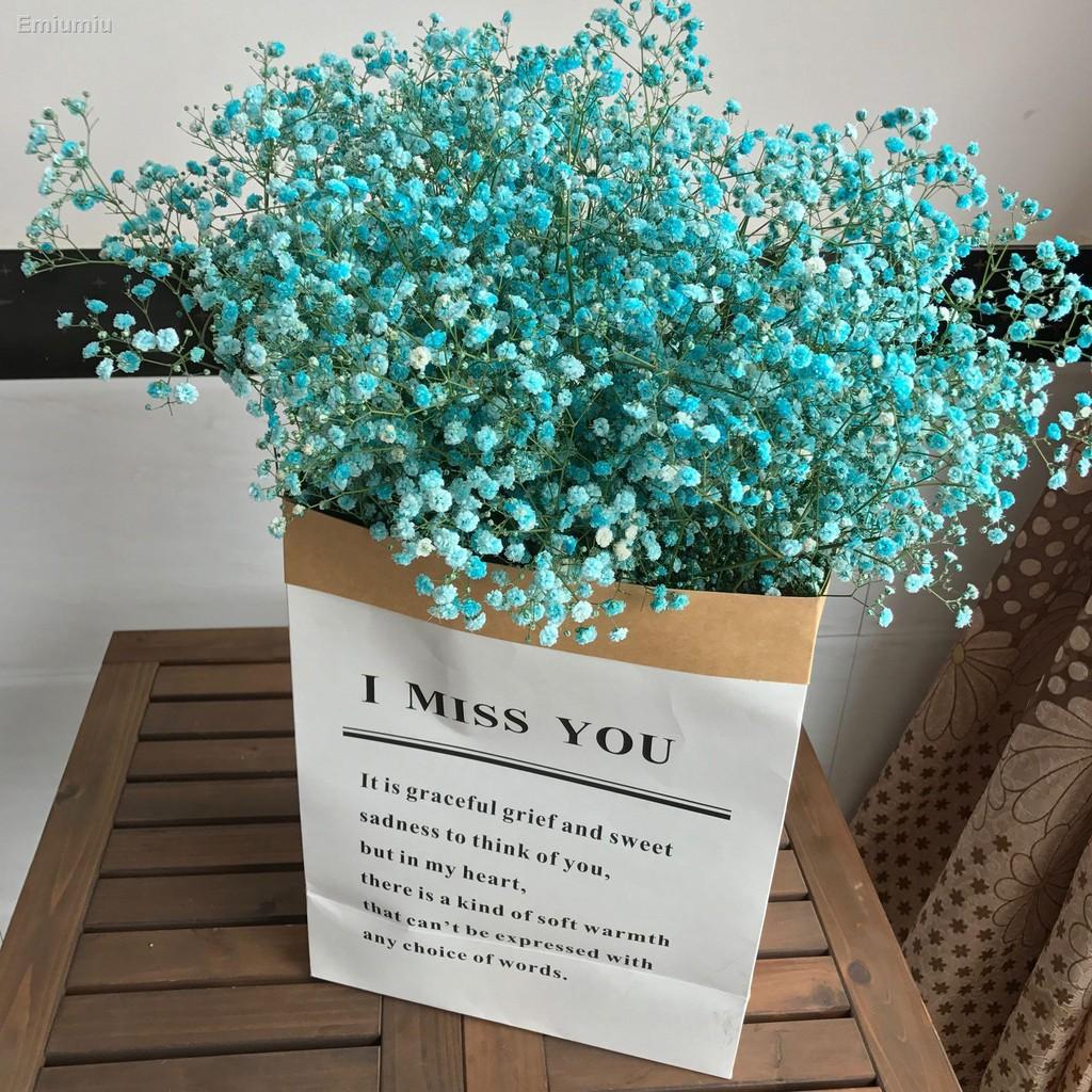 ❆❁Forget me not Hoa khô Gypsophila phong cách Bắc Âu túi giấy lớn đặt trang trí phòng khách trang trí phòng khách