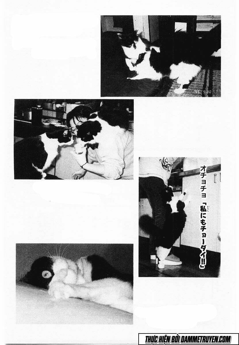 shin kotaro makaritoru! juudouhen chapter 61 21