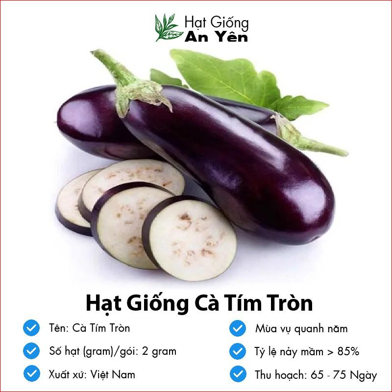 Hạt giống Cà Tím Tròn Quả To thu hoạch sớm, dễ trồng, nảy mầm cao, sinh trưởng khoẻ