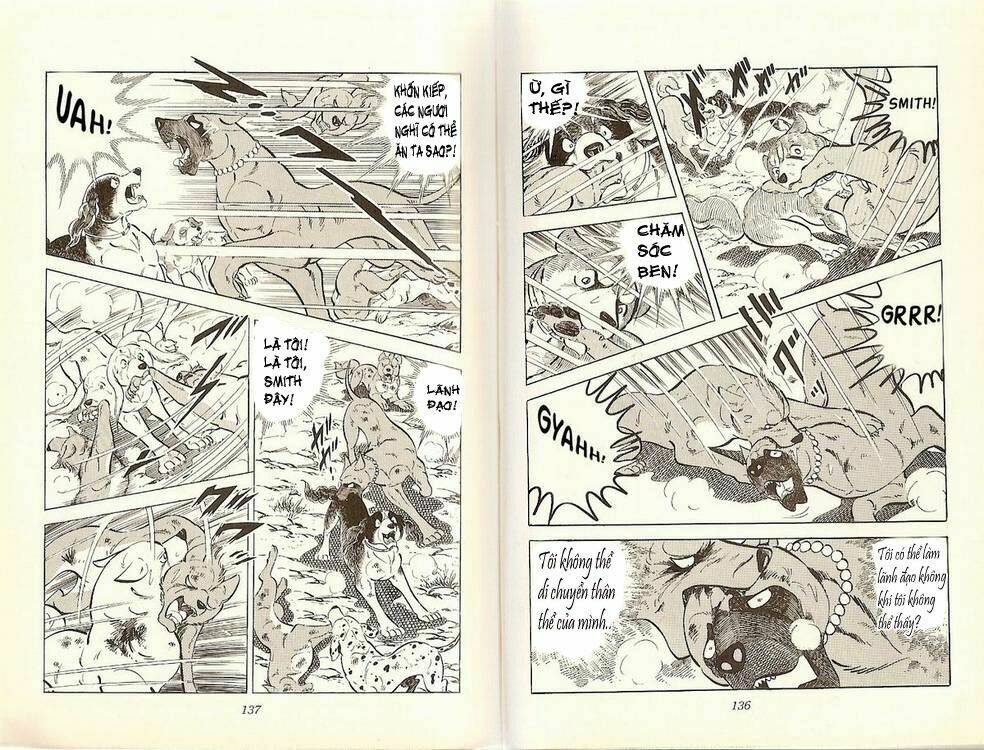 chú chó có nghĩa - ginga nagareboshi gin chapter 20 17