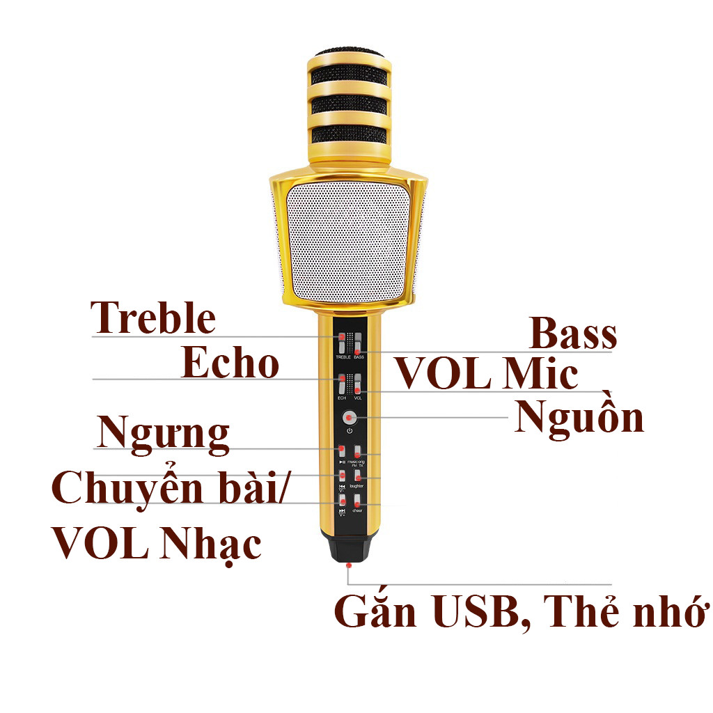 Micro karaoke Bluetooth có loa  3 trong 1 PF165 SD17